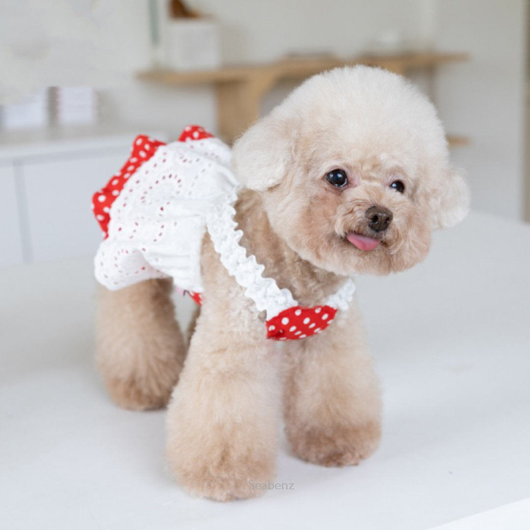 DotLace Sweetheart Dress