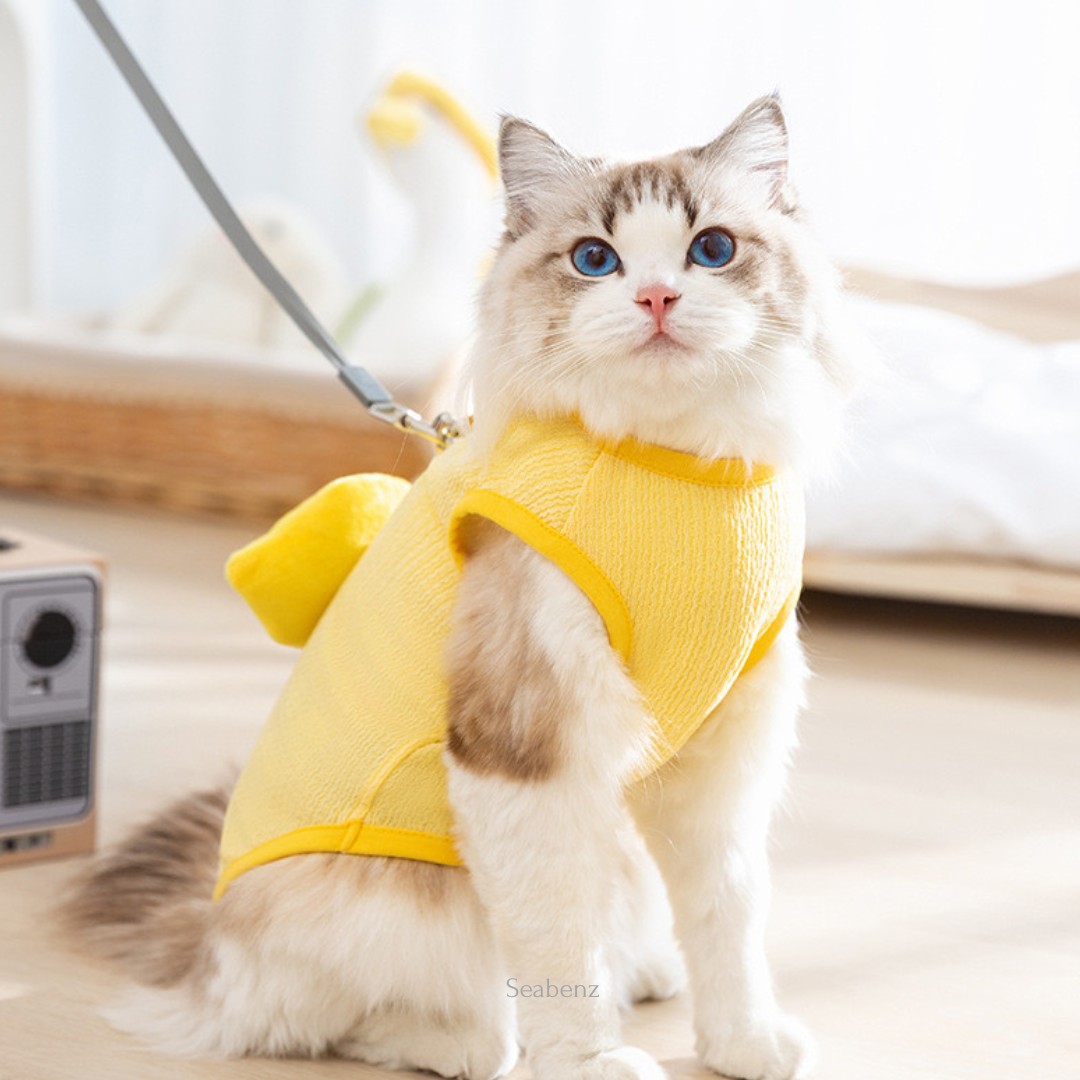 ChickiePop Summer Clothing