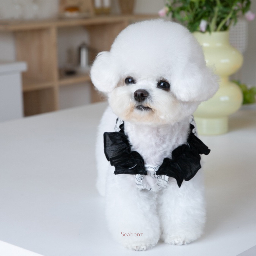 Midnight Bloom Chiffon Dress