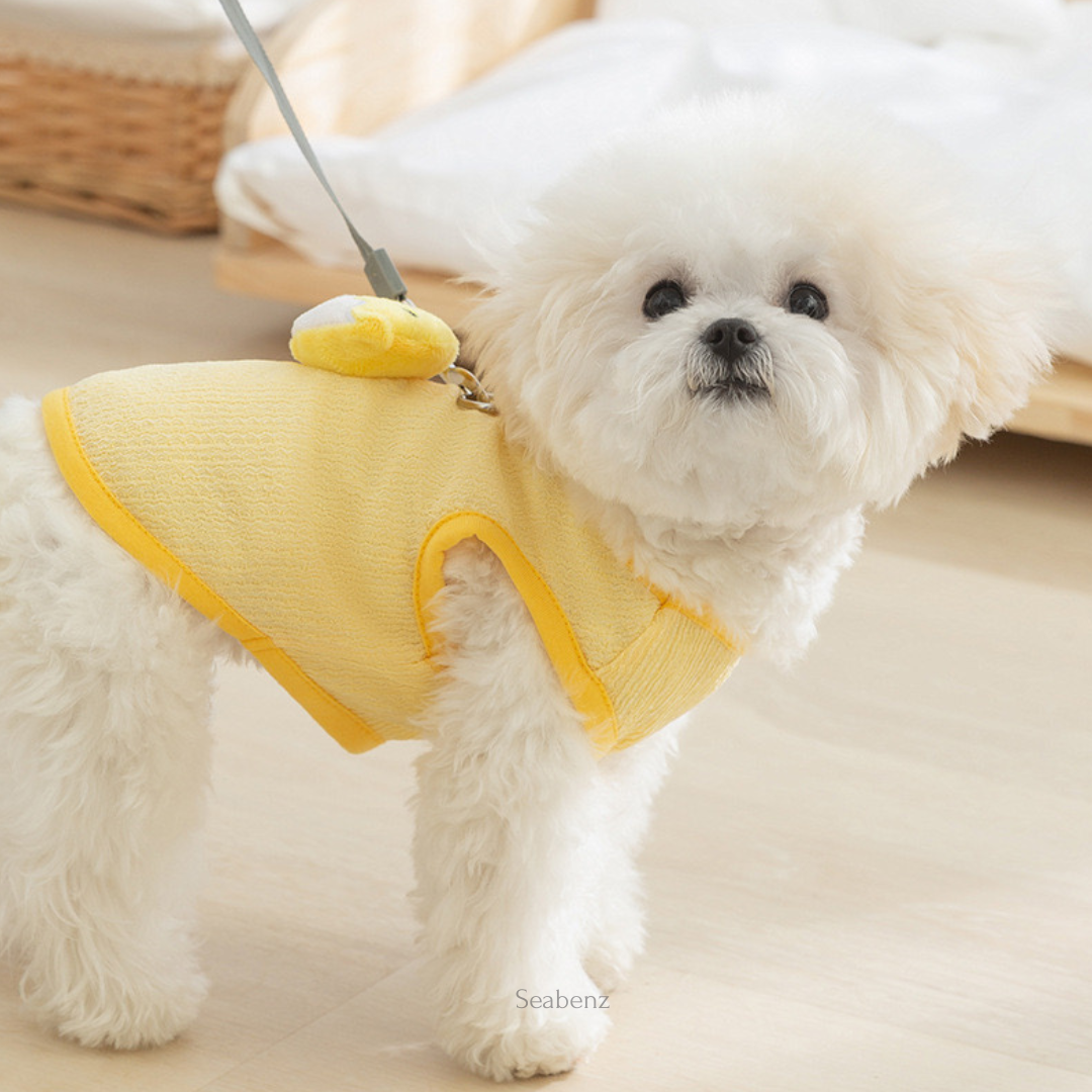 ChickiePop Summer Clothing