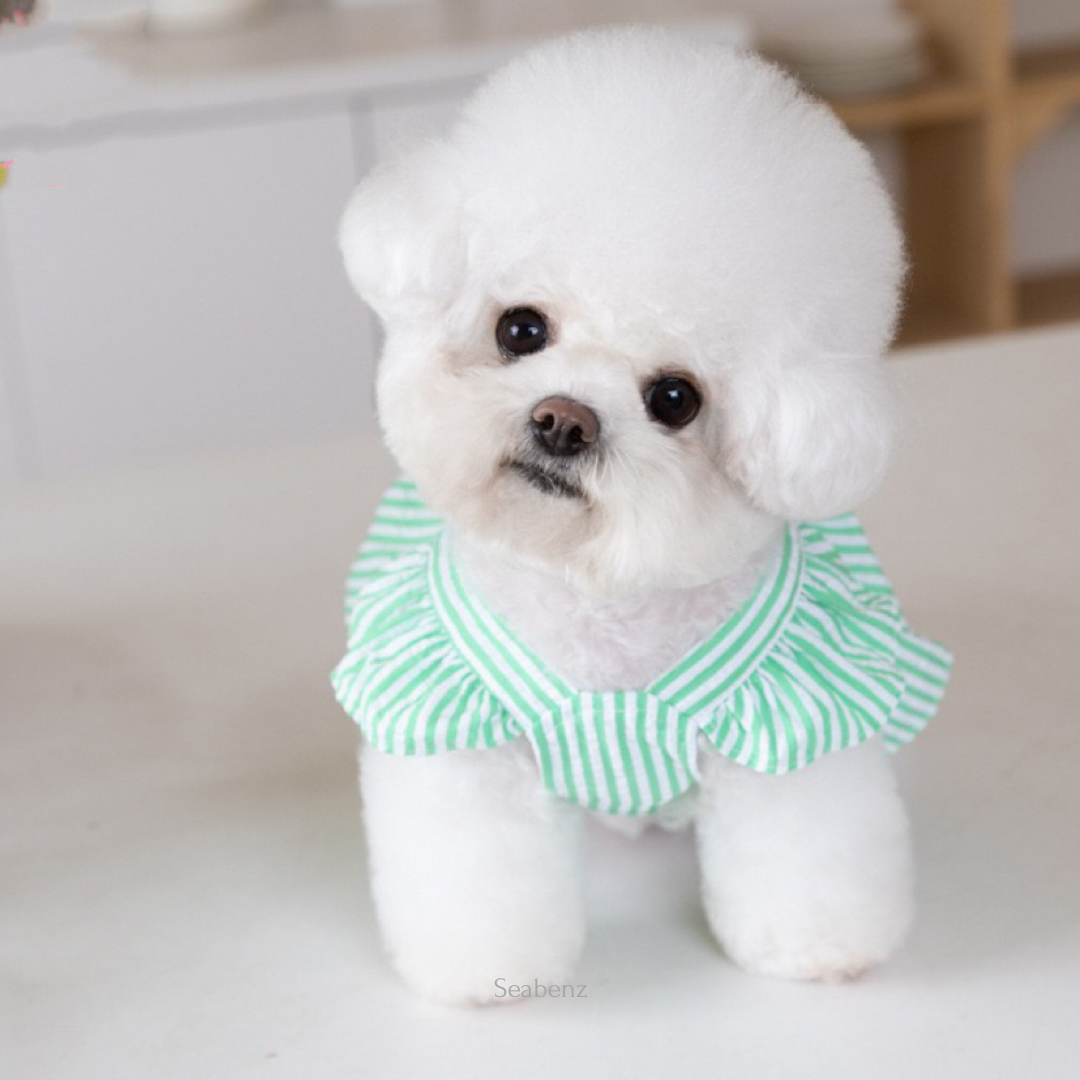 Somerset Stripes Dress