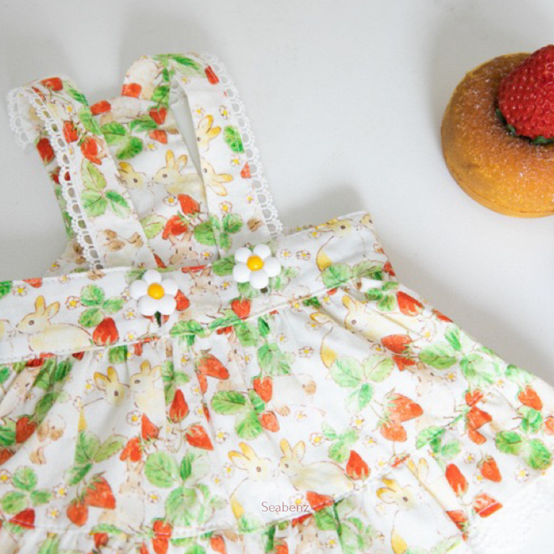 BerrySweet Strawberry Dress