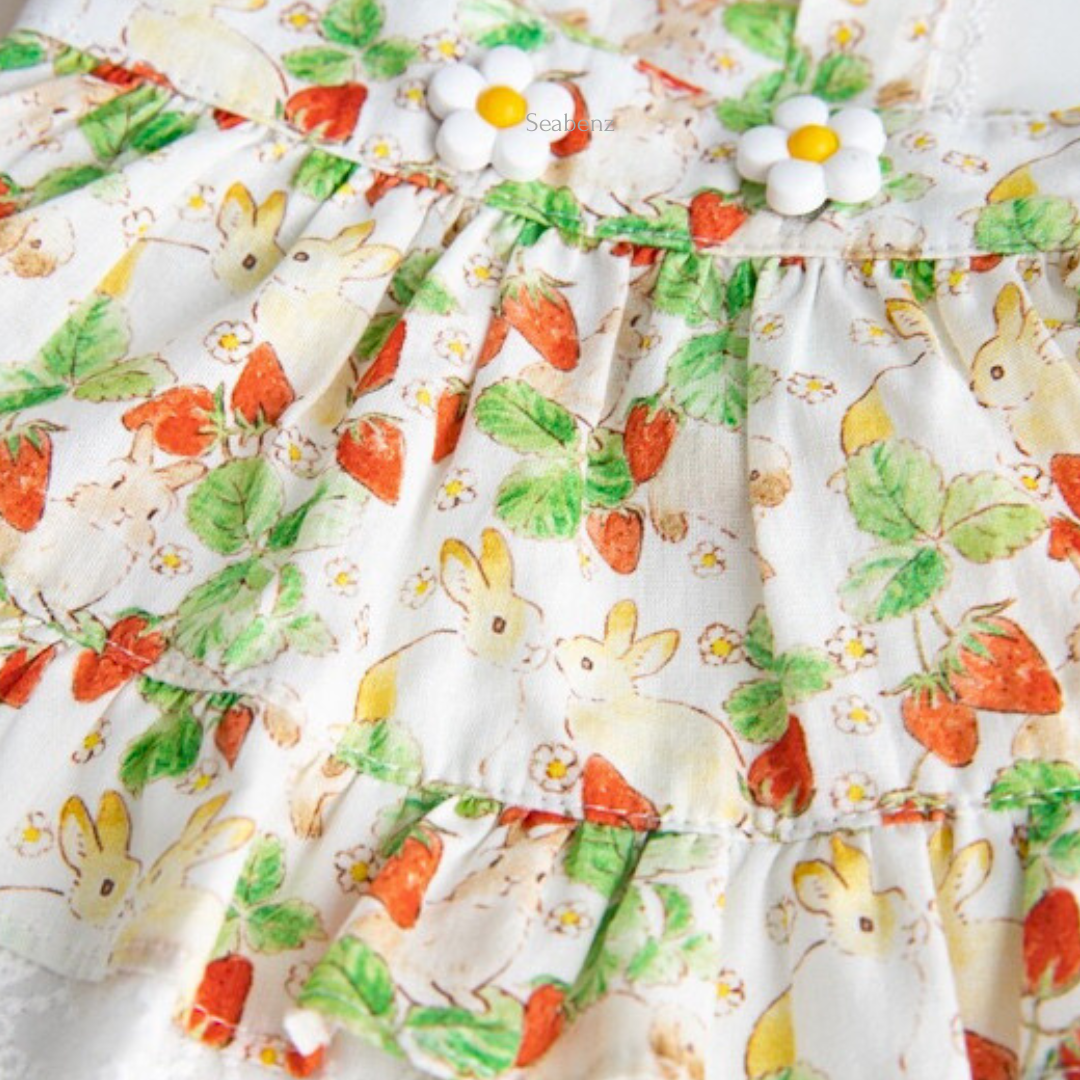 BerrySweet Strawberry Dress