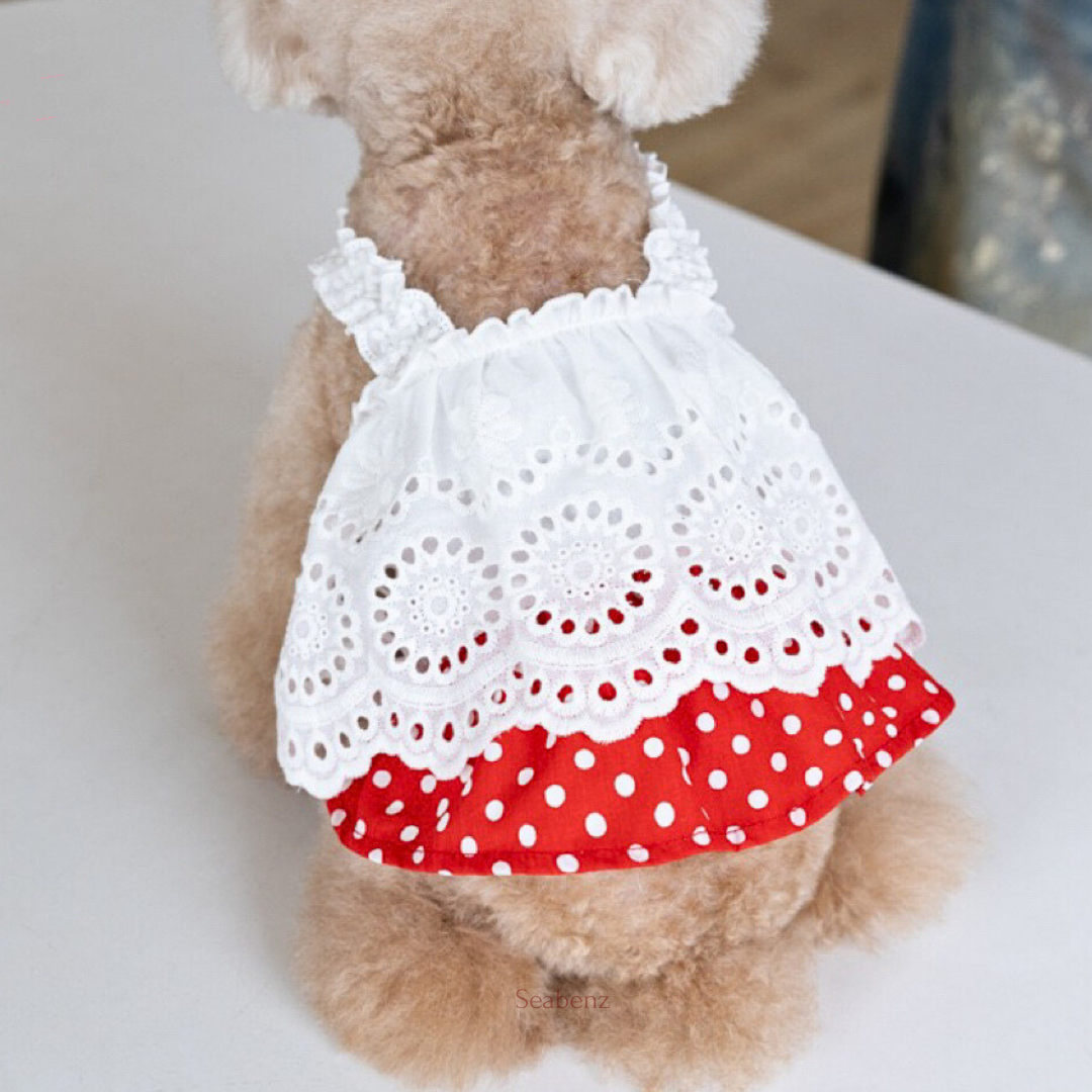 DotLace Sweetheart Dress