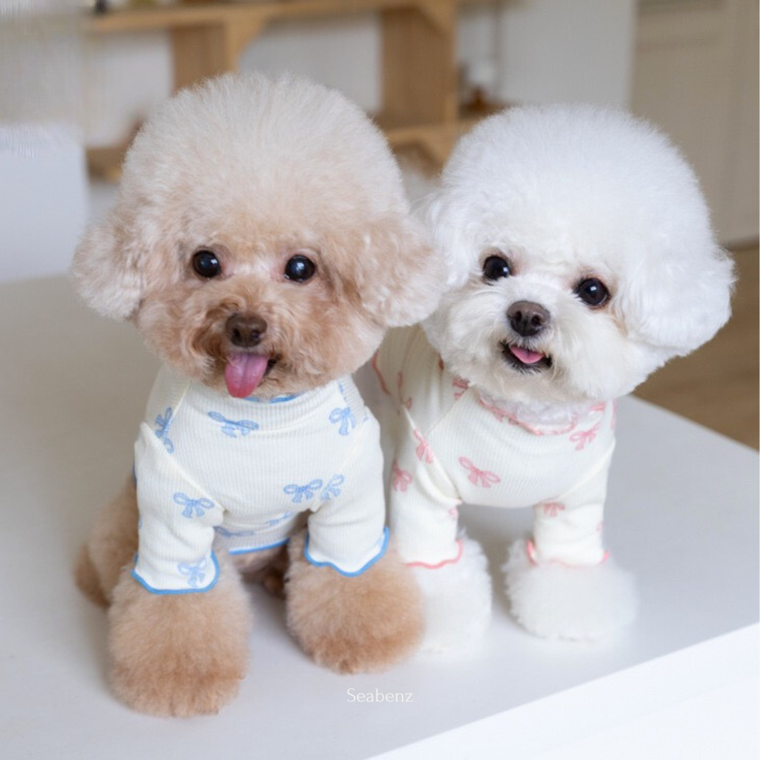 Ribbon Ruffle Snuggle Shirt