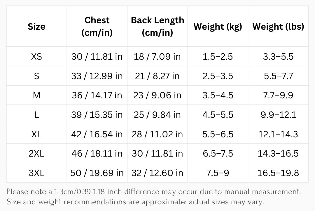Oxford Bow Collar Clothing