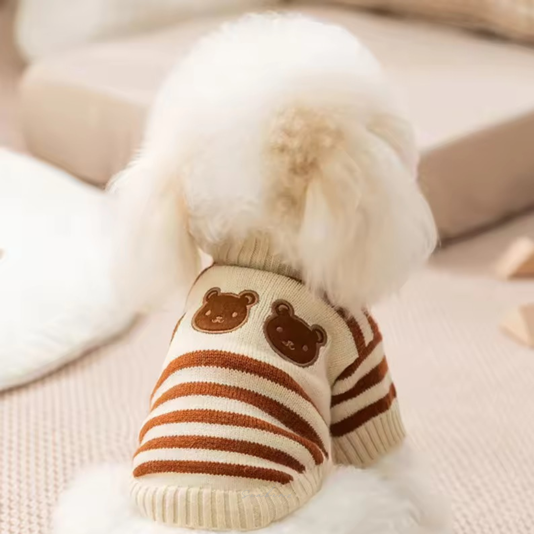 Teddy Trio Sweater
