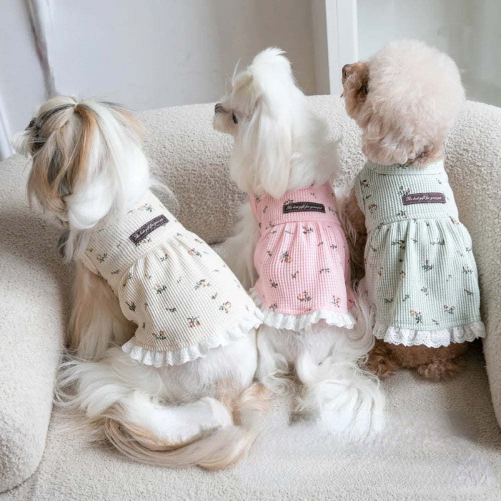 Bambalina Pet Dresses