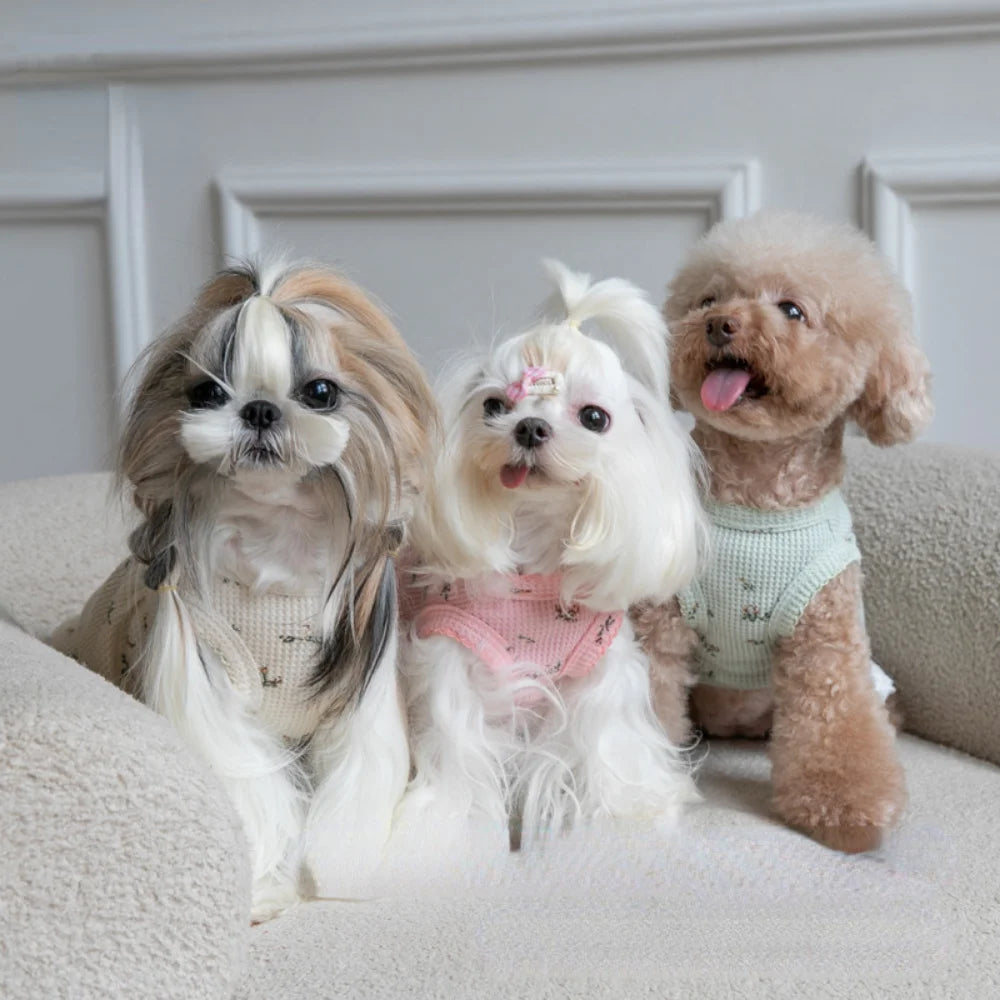 Bambalina Pet Dresses