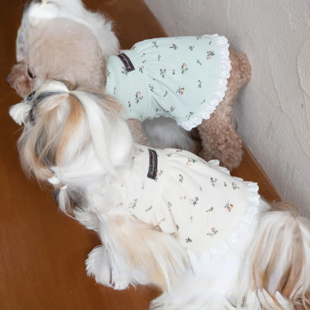 Bambalina Pet Dresses