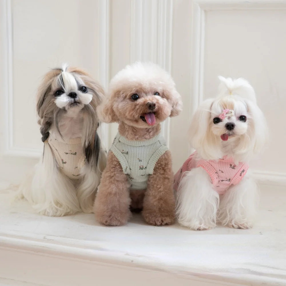 Bambalina Pet Dresses