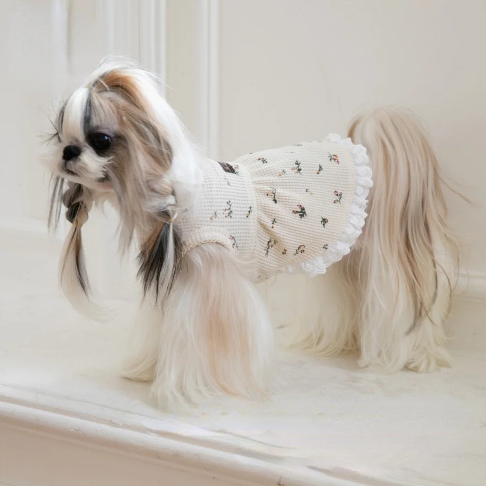 Bambalina Pet Dresses