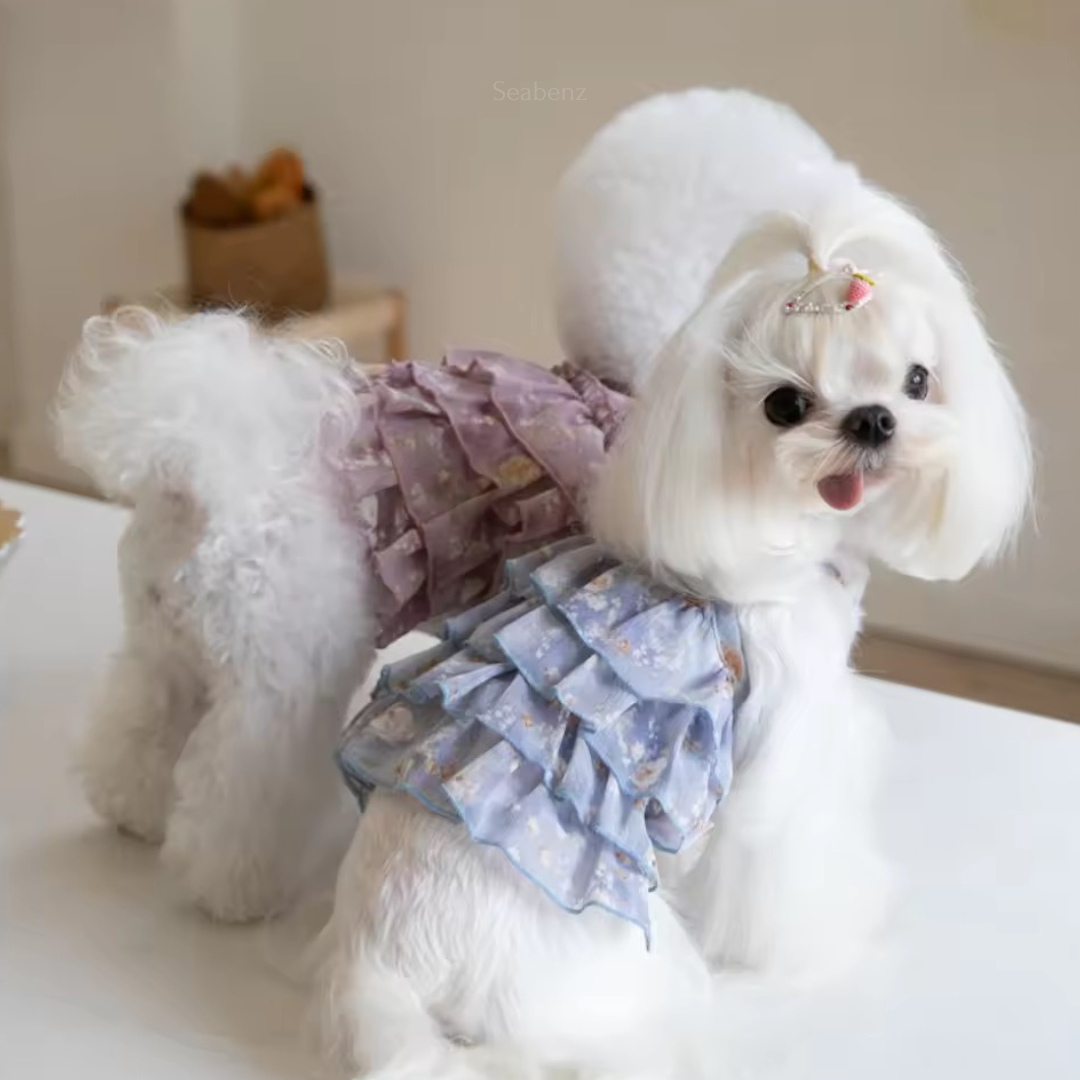 Pet Dresses