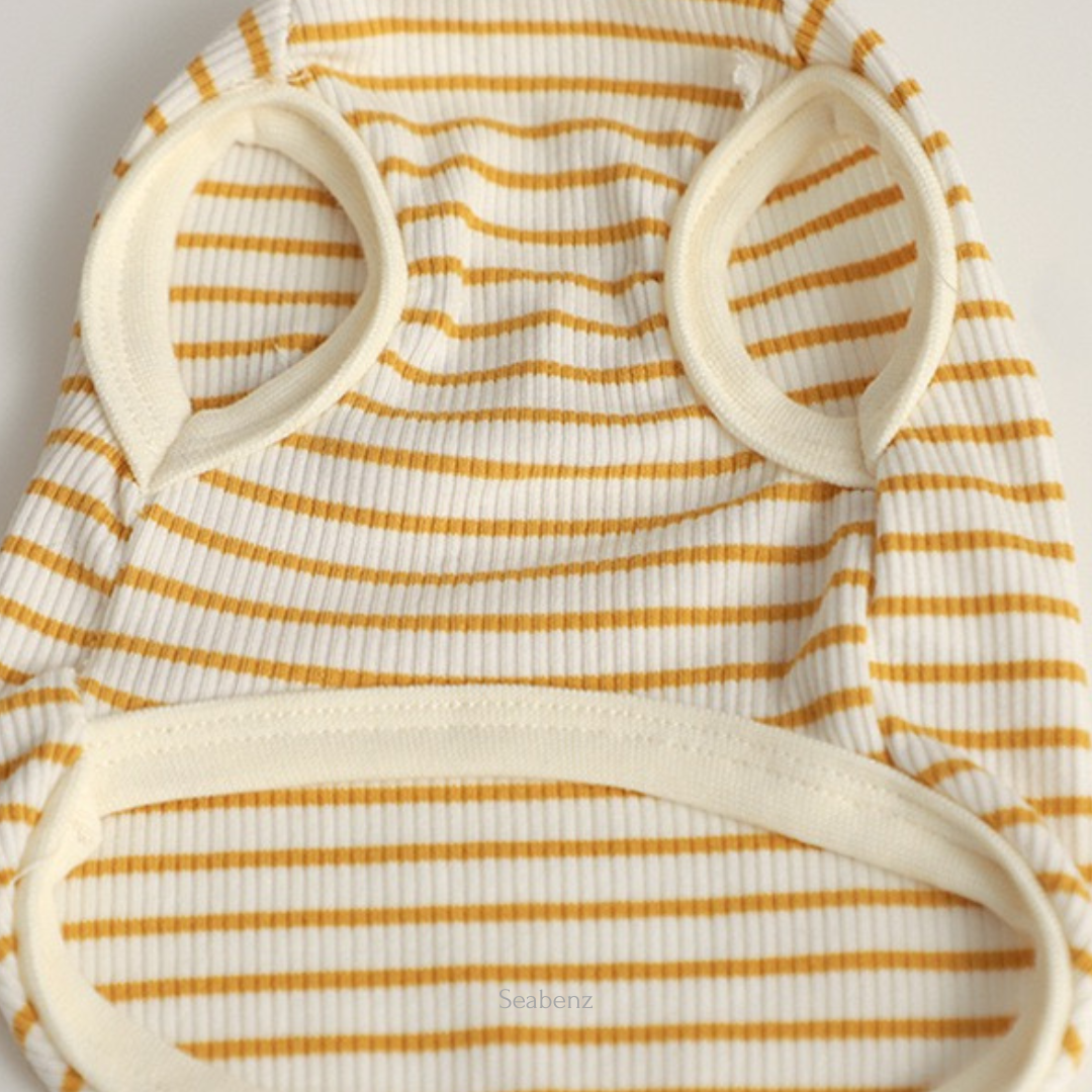 TeddyStripe Clothing