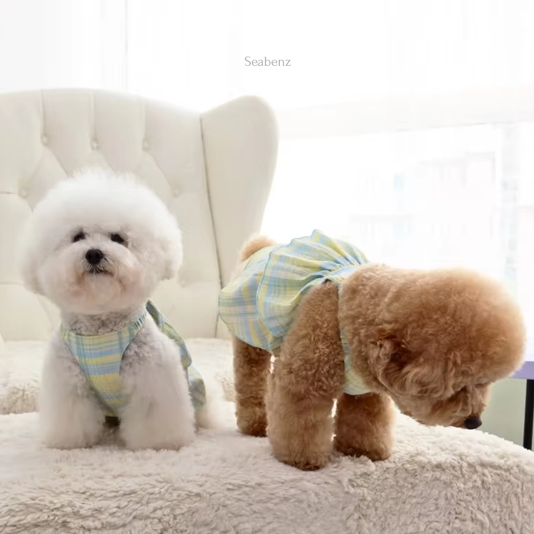 Gizmo Summer Pet Dress