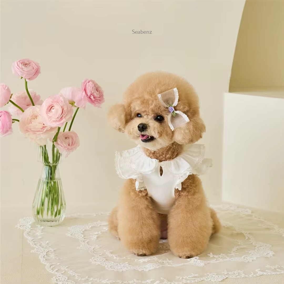 Azalea Spring & Summer Dress