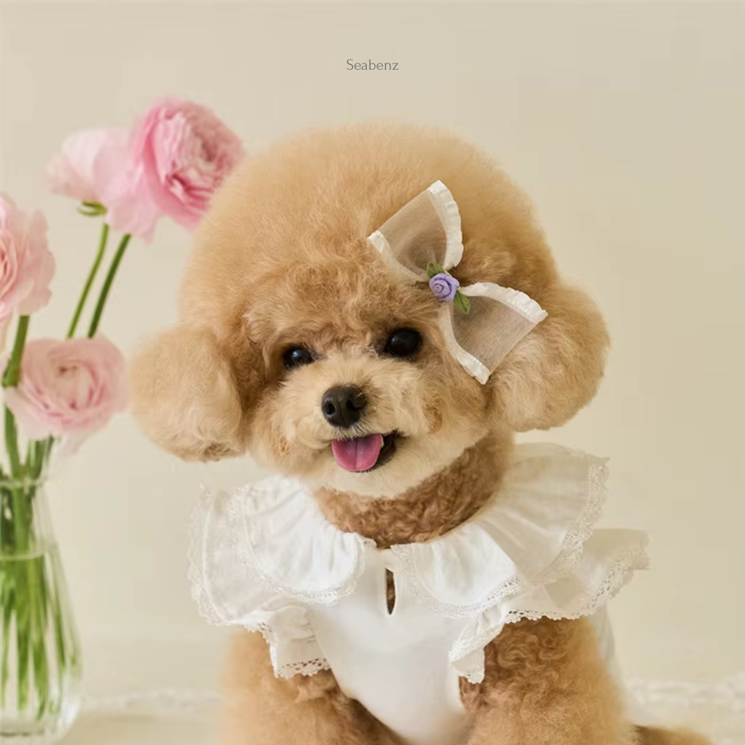 Azalea Spring & Summer Dress