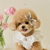 Azalea Spring & Summer Dress