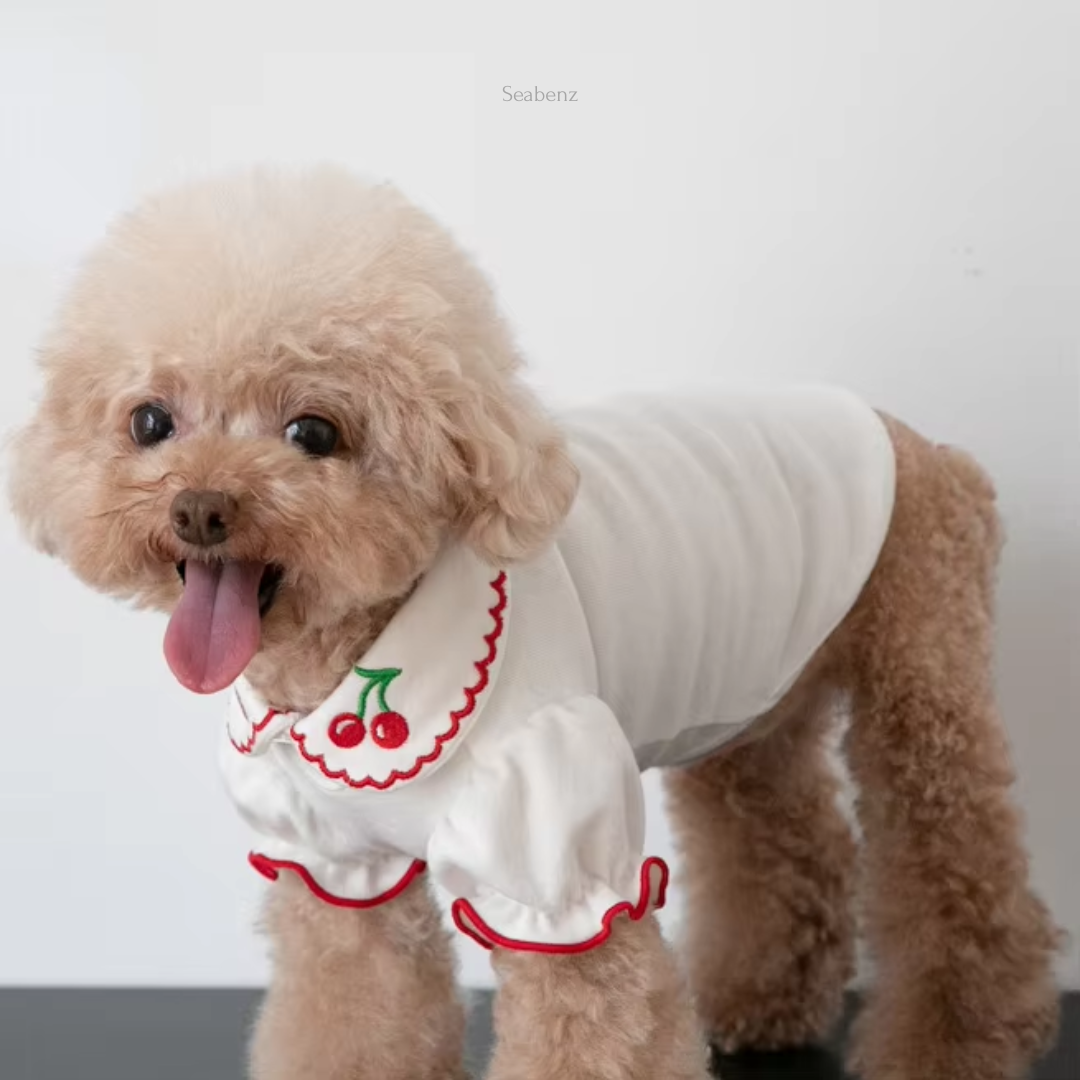 Baguette Cherry Spring & Summer Clothing
