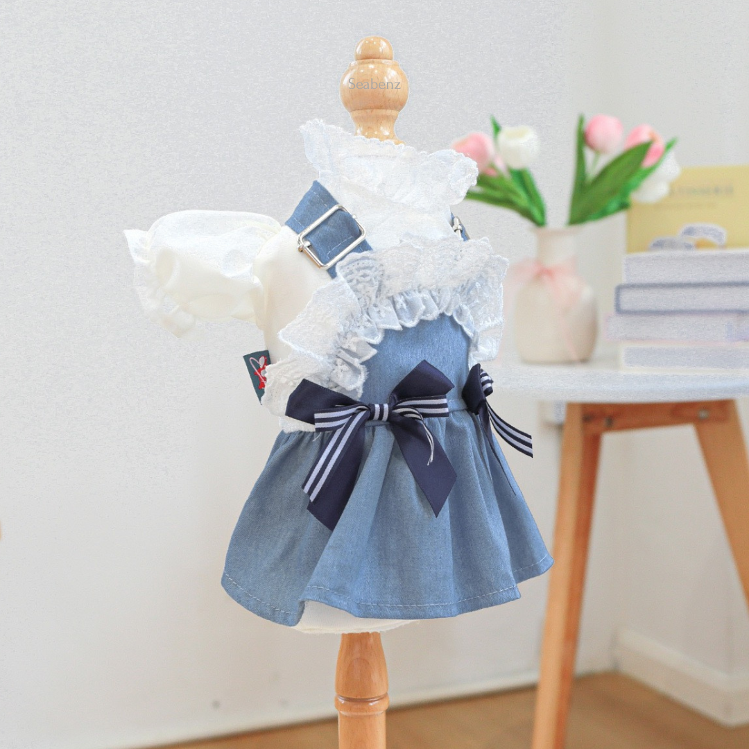 Evitania Denim Dress