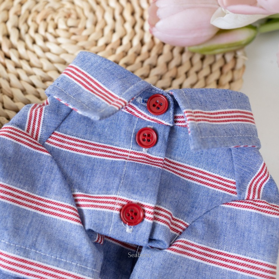 Seaside Stripe Shirt / Dress