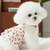 CherryPop Dress