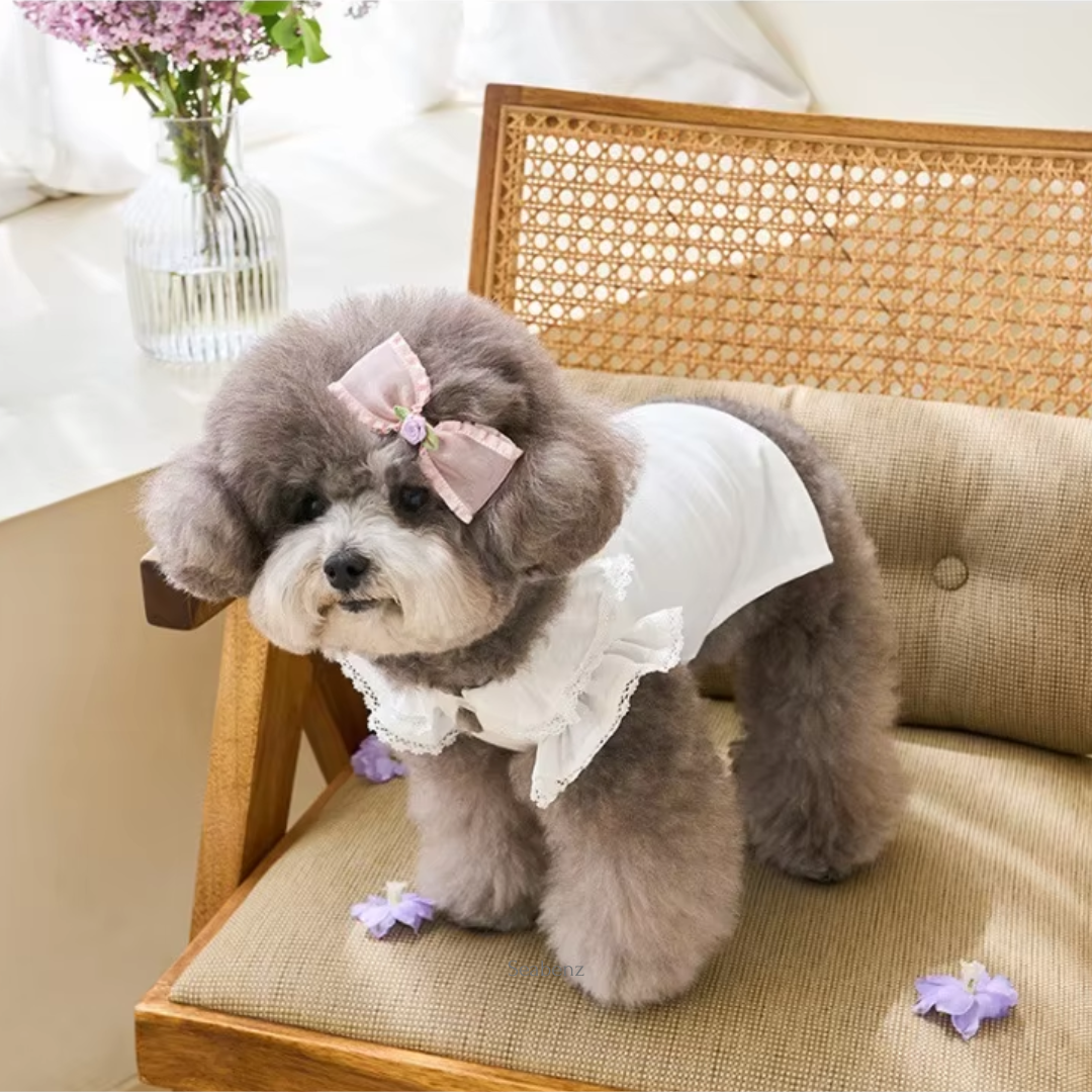 Azalea Spring & Summer Dress