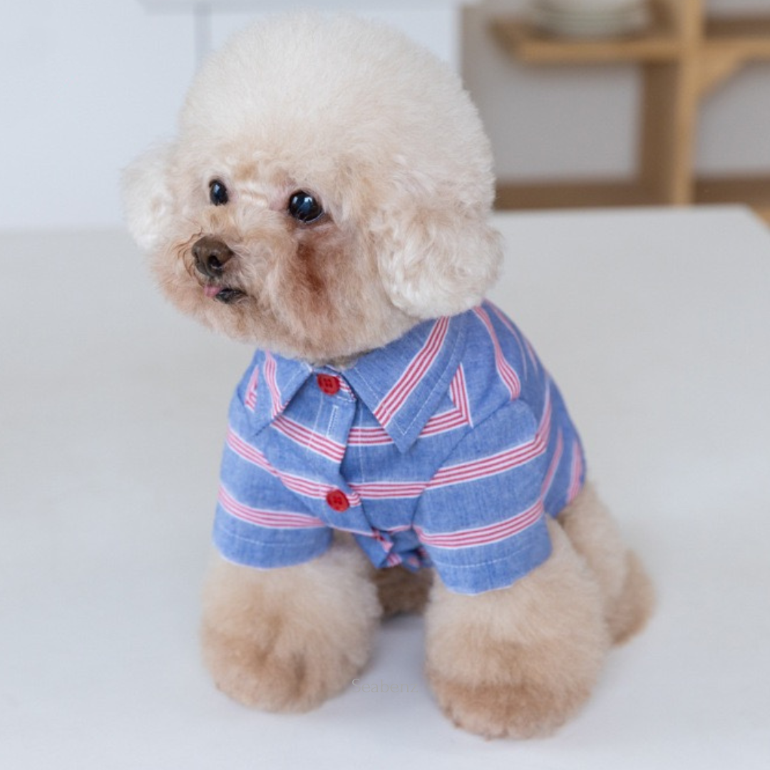 Seaside Stripe Shirt / Dress