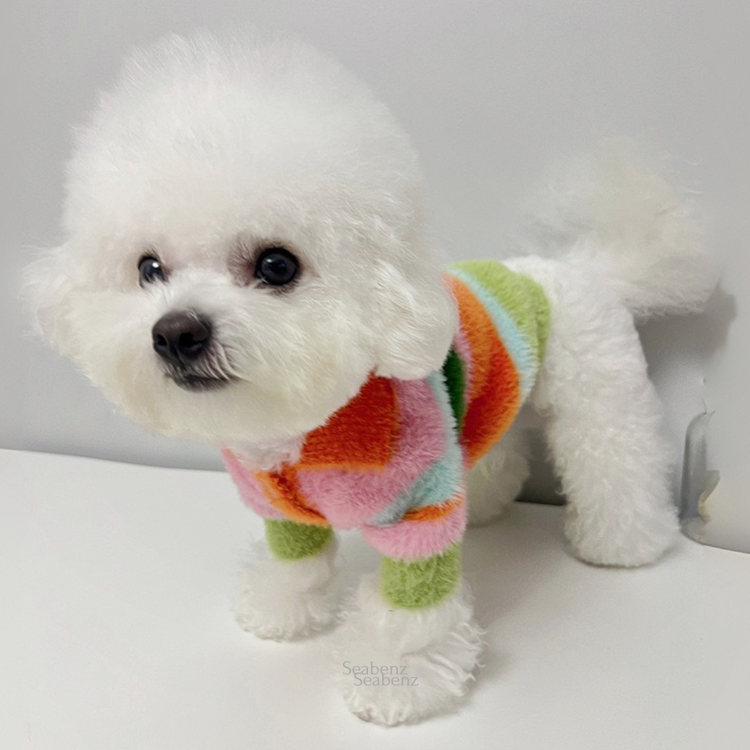 Kikila Colorful Sweater