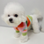 Kikila Colorful Sweater