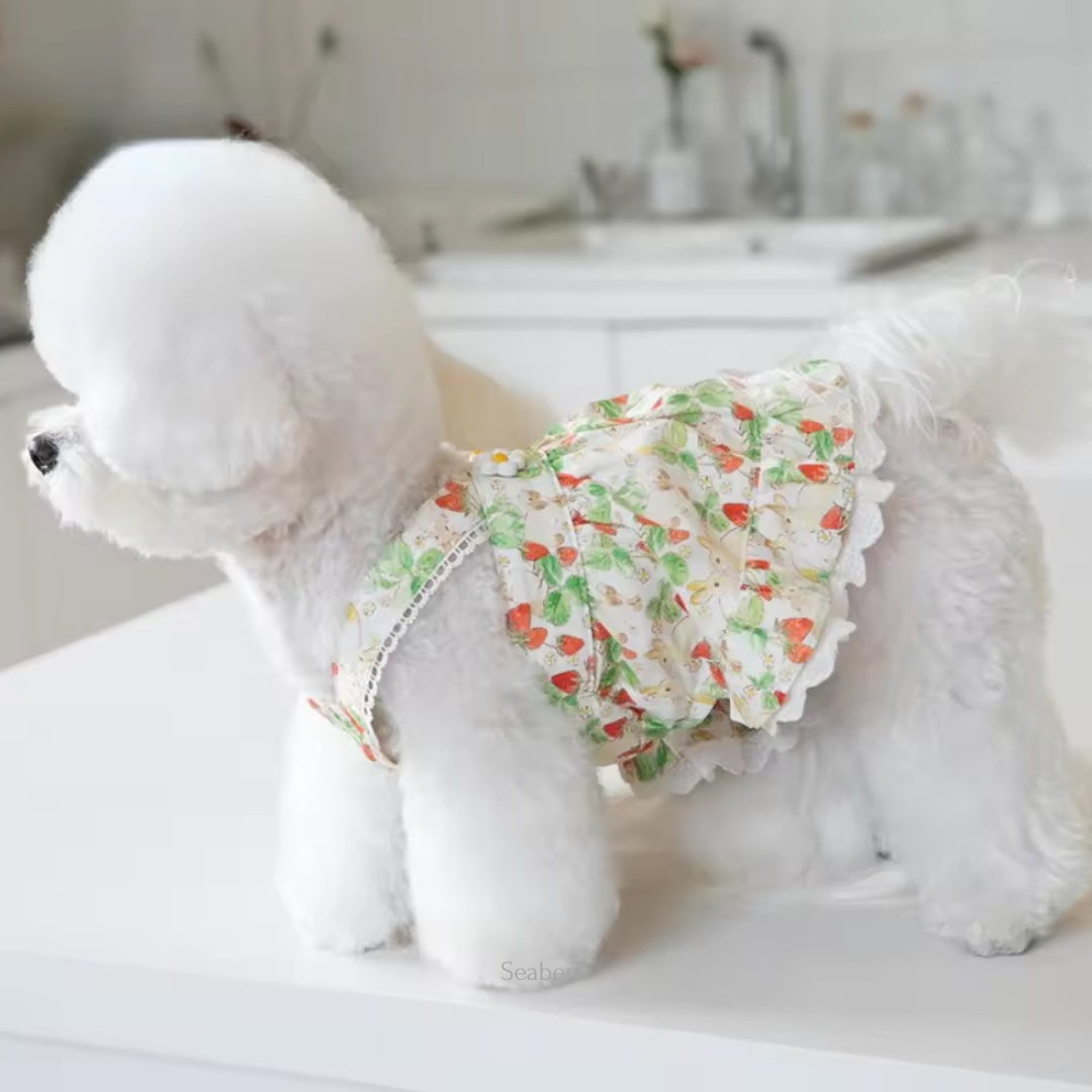 BerrySweet Strawberry Dress