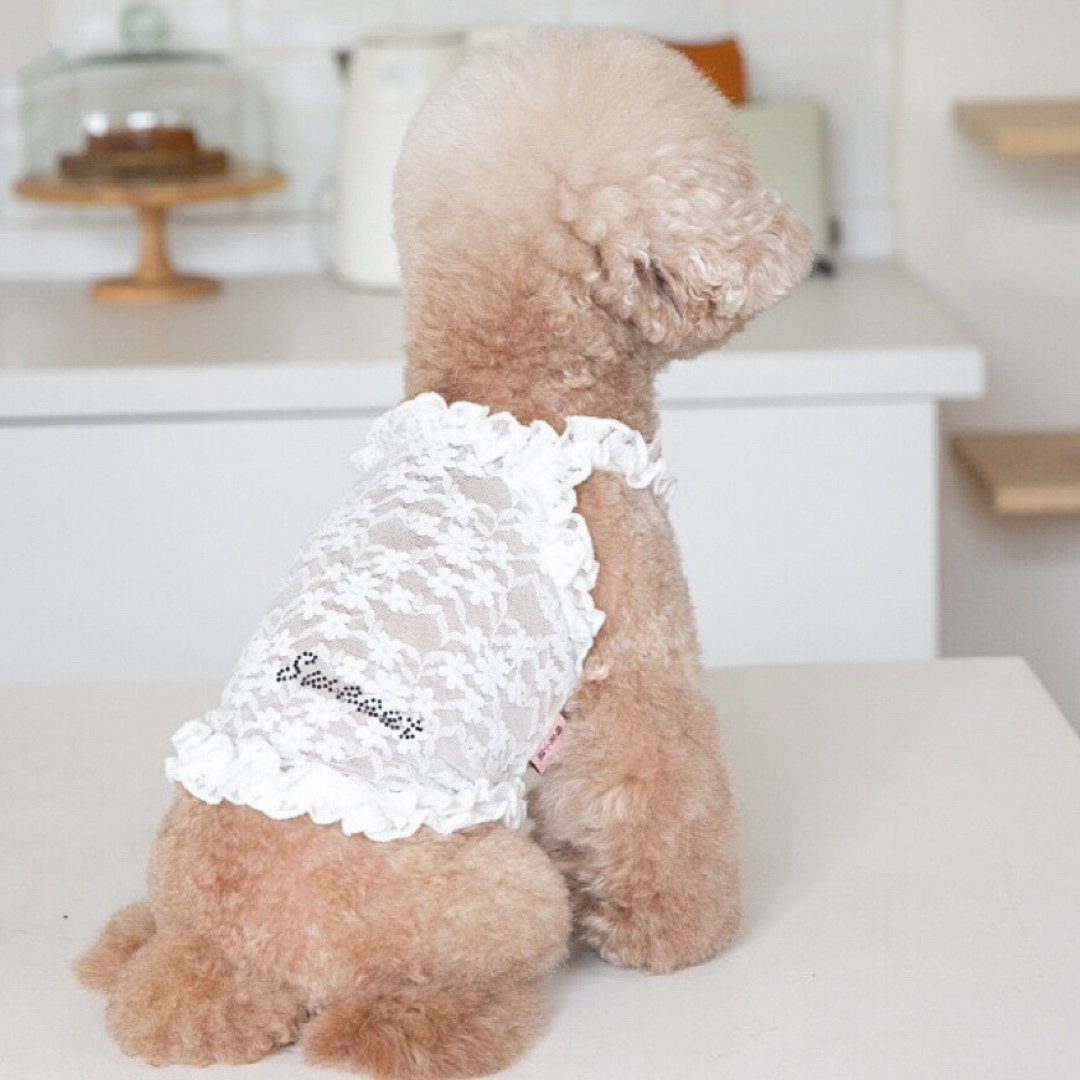 Lacy Breeze Sling Clothing