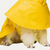 Rain Guard Dog Raincoat