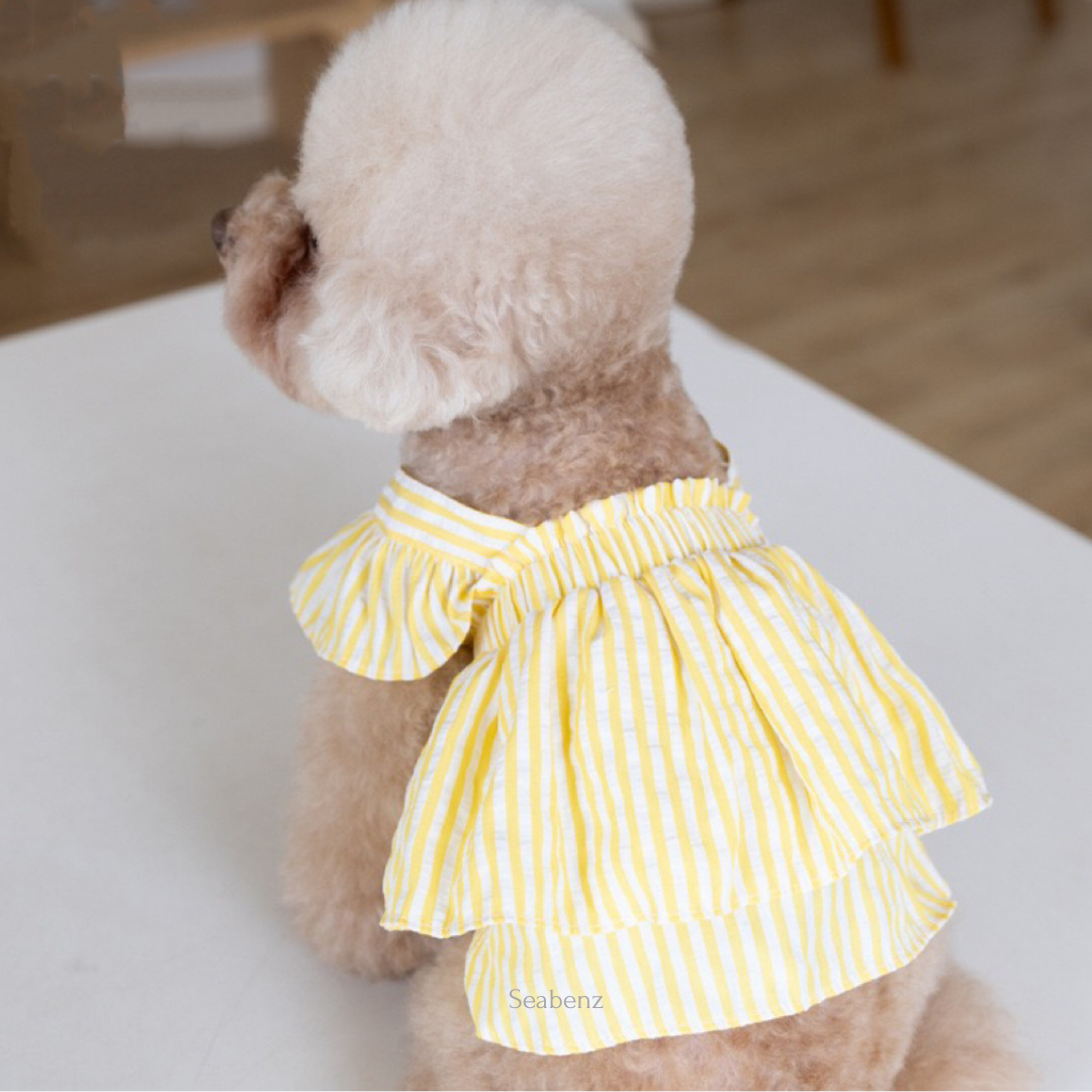 Somerset Stripes Dress