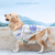 BreezyGuard Mesh Summer Clothing