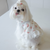 Bailey Flower Print Dress