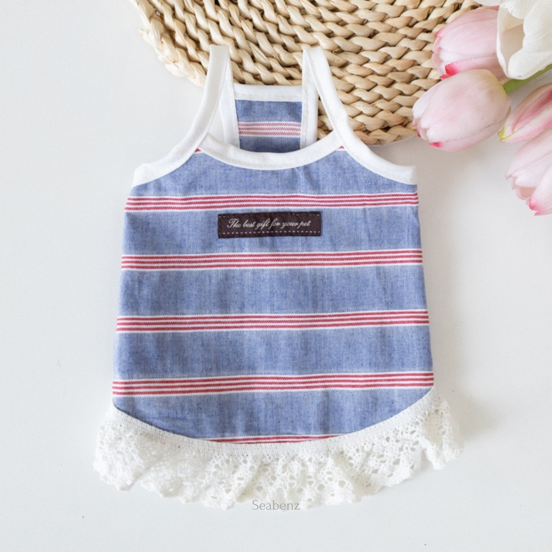 Seaside Stripe Shirt / Dress