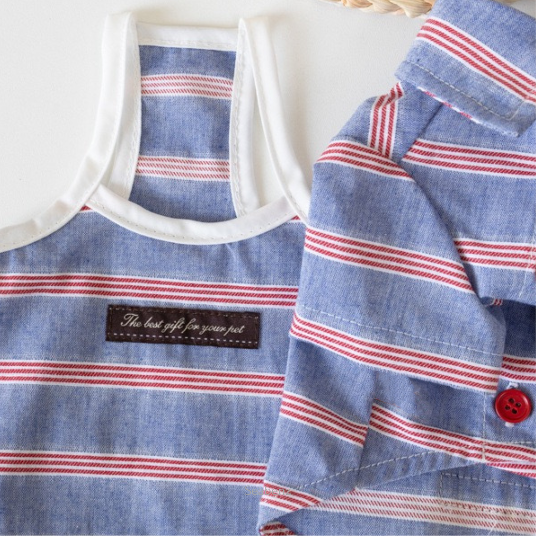 Seaside Stripe Shirt / Dress