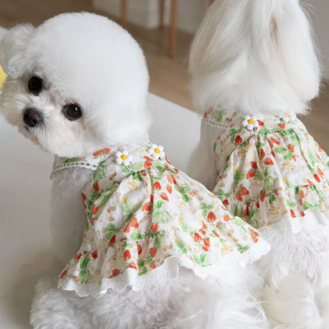 BerrySweet Strawberry Dress