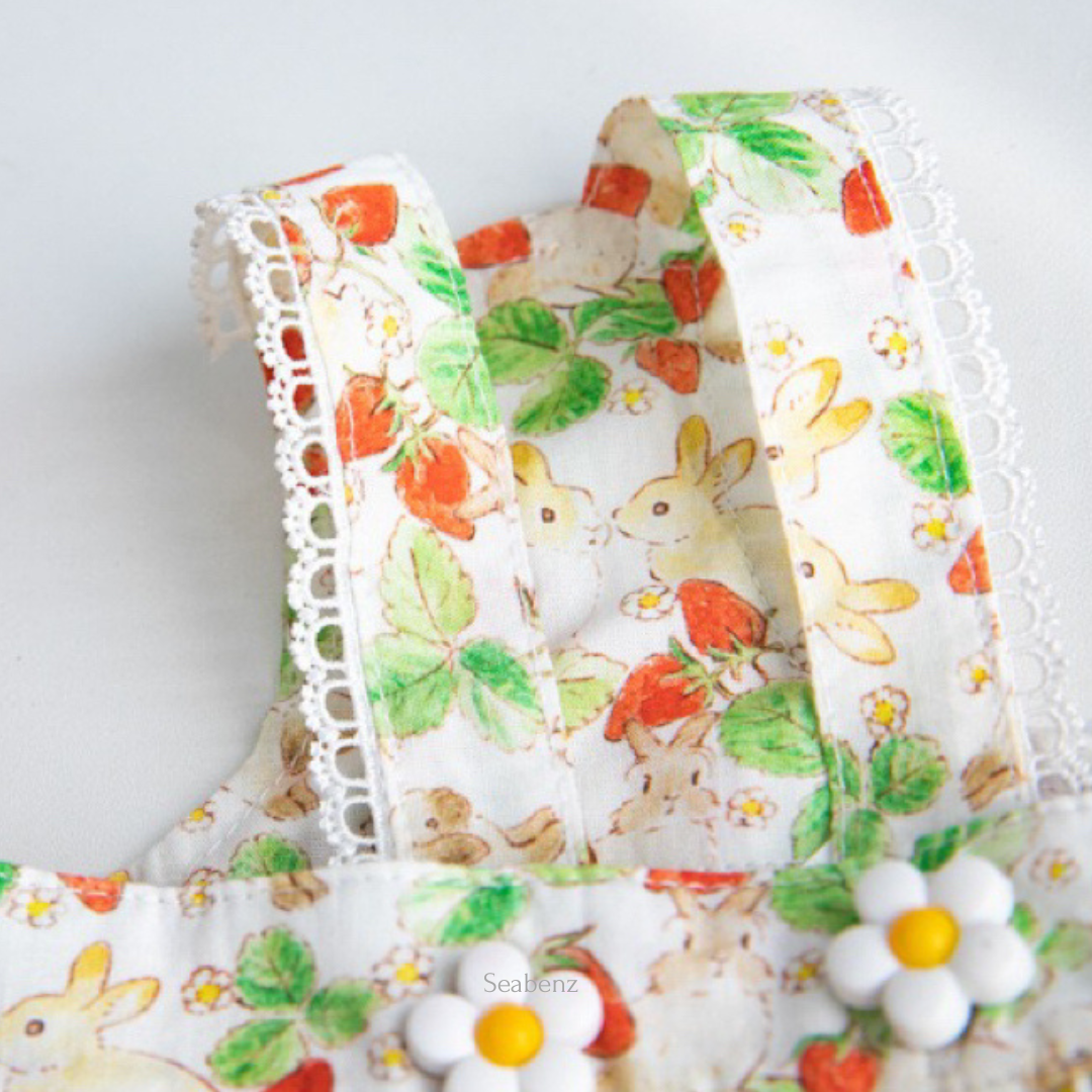 BerrySweet Strawberry Dress