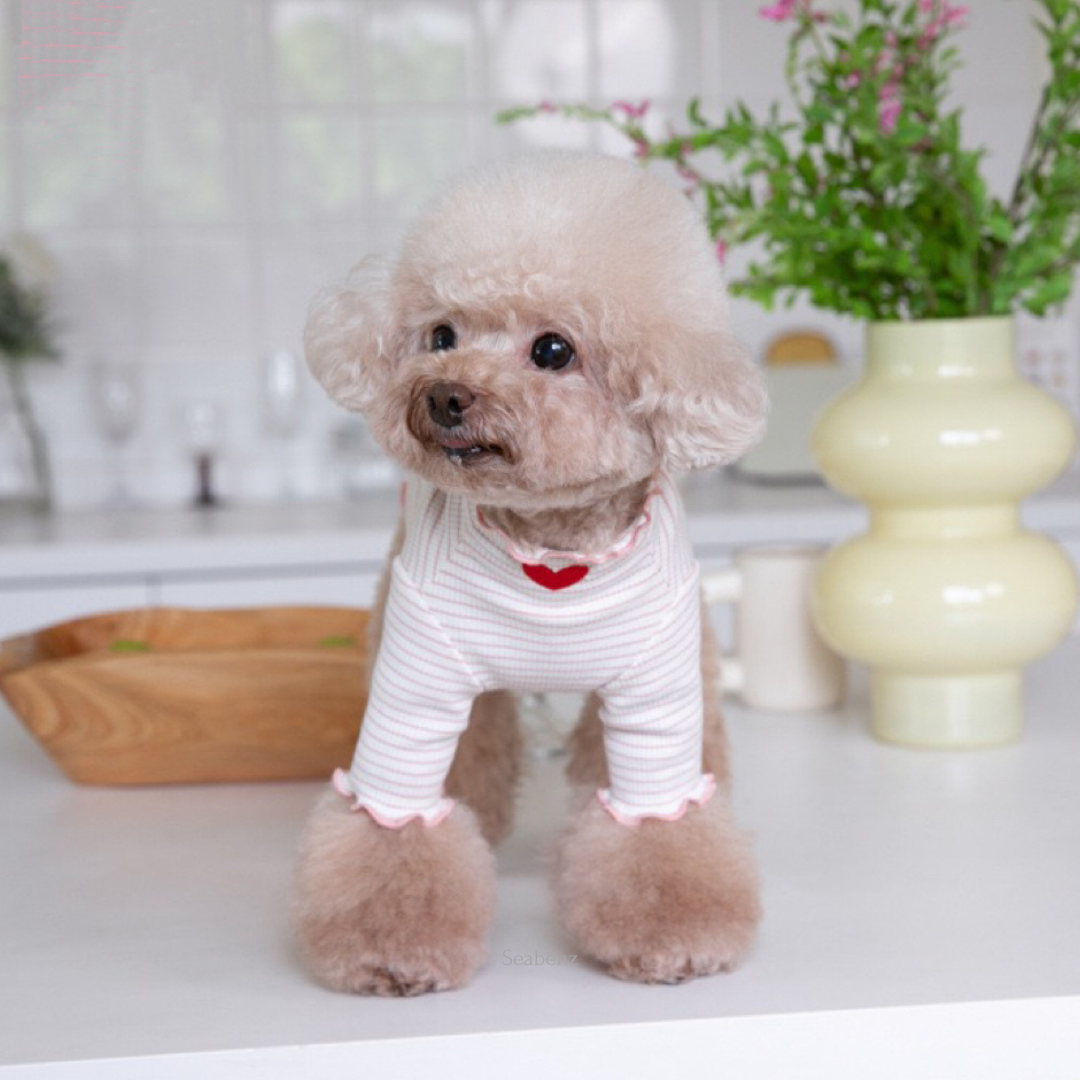 Lilliput Love Stripe Bottom Clothing