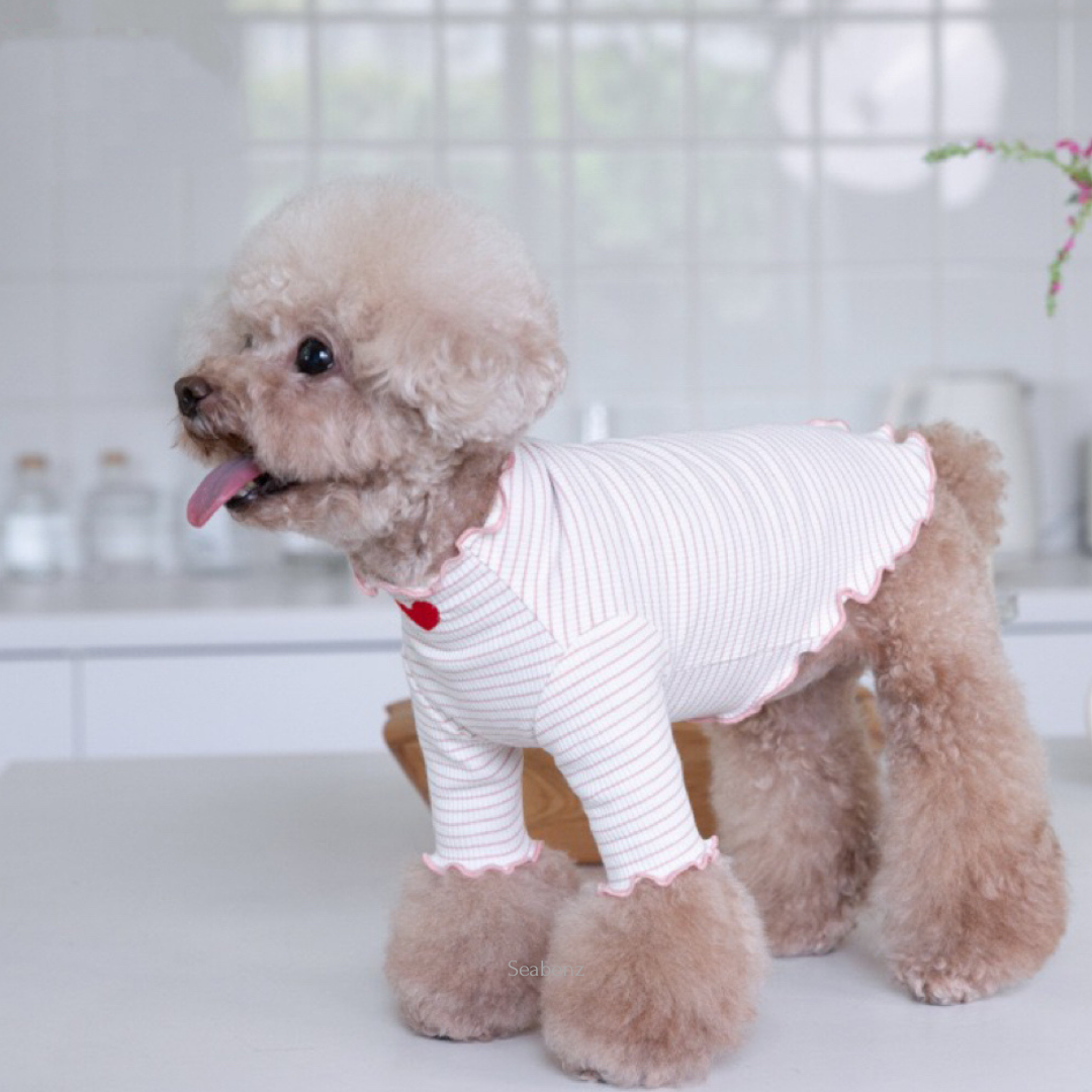 Lilliput Love Stripe Bottom Clothing