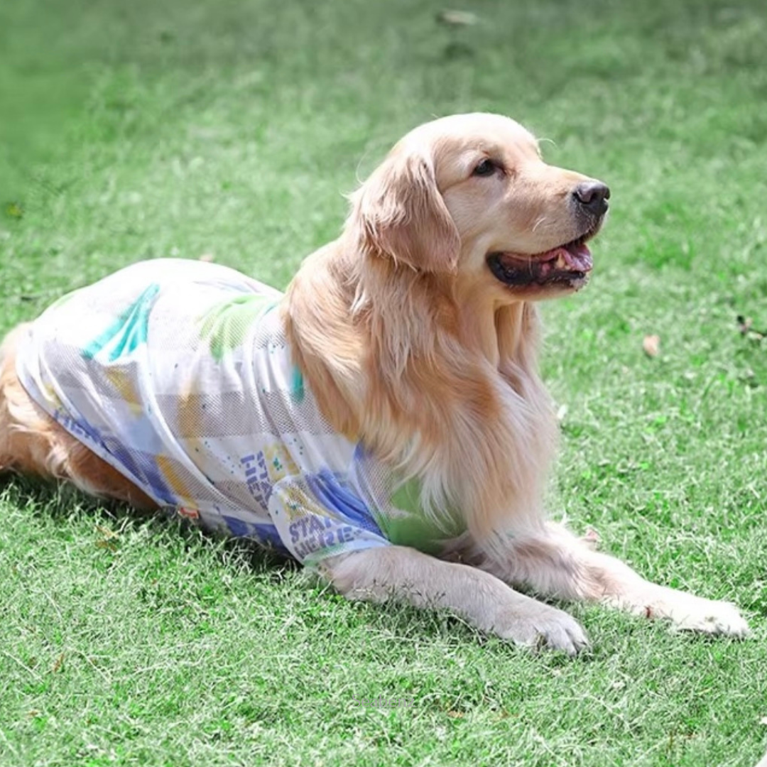 BreezyGuard Mesh Summer Clothing
