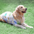 BreezyGuard Mesh Summer Clothing