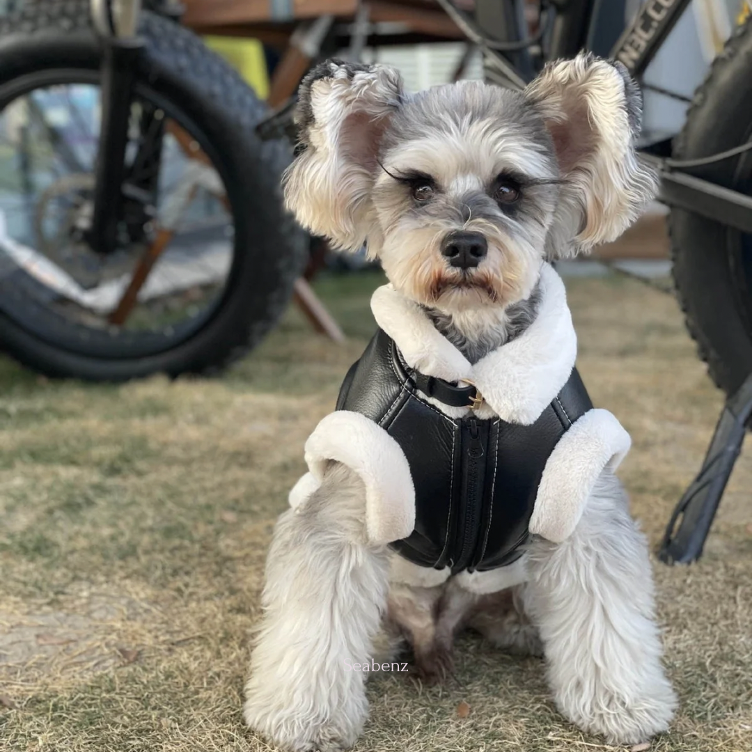 Cool Style Pet Clothing