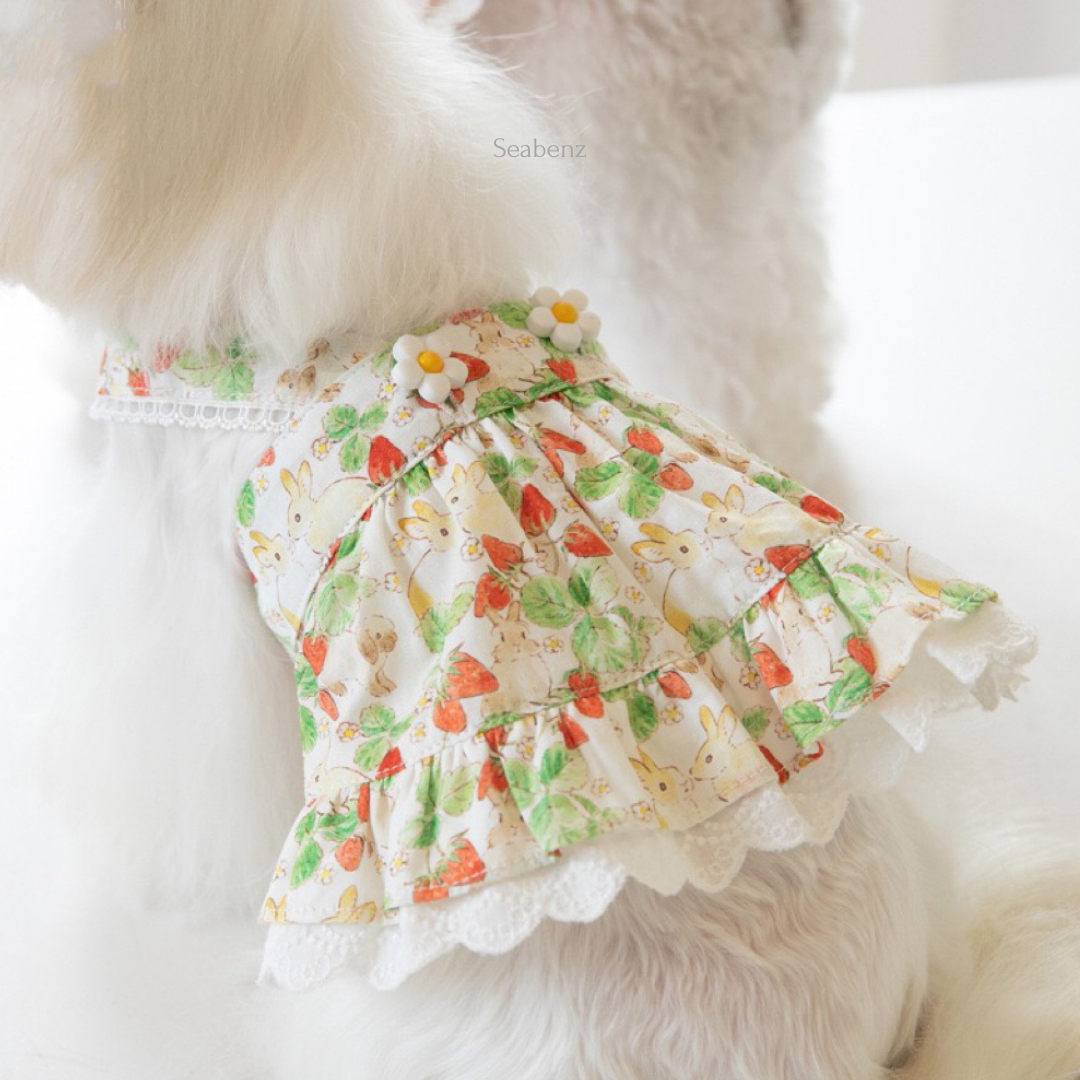 BerrySweet Strawberry Dress