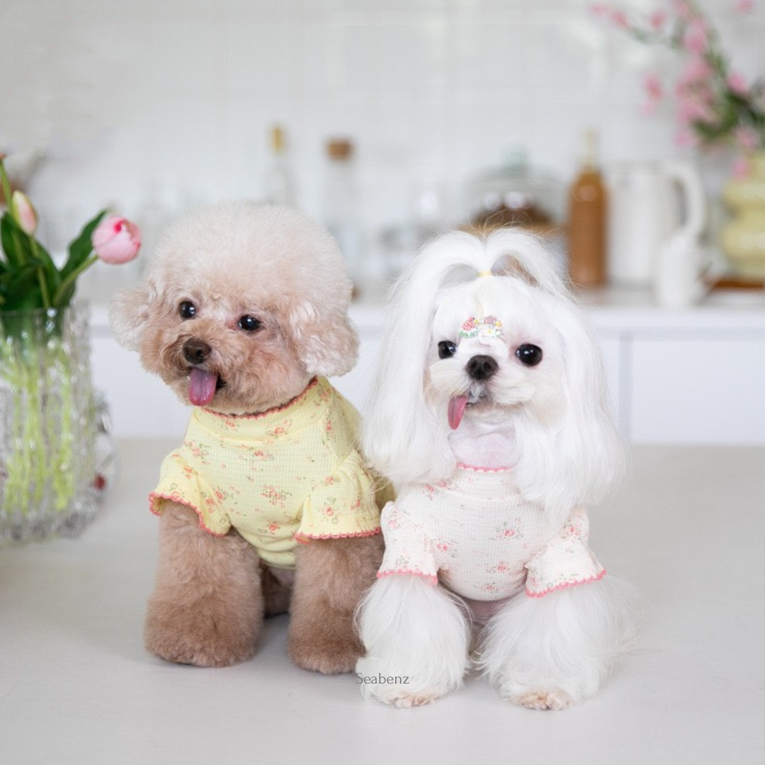 Monica Floral Pet Clothing