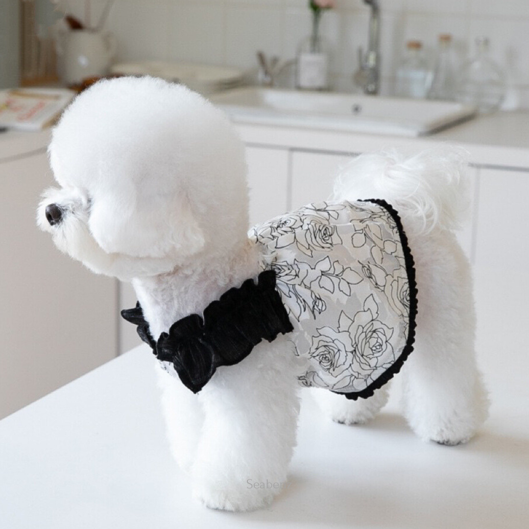 Midnight Bloom Chiffon Dress