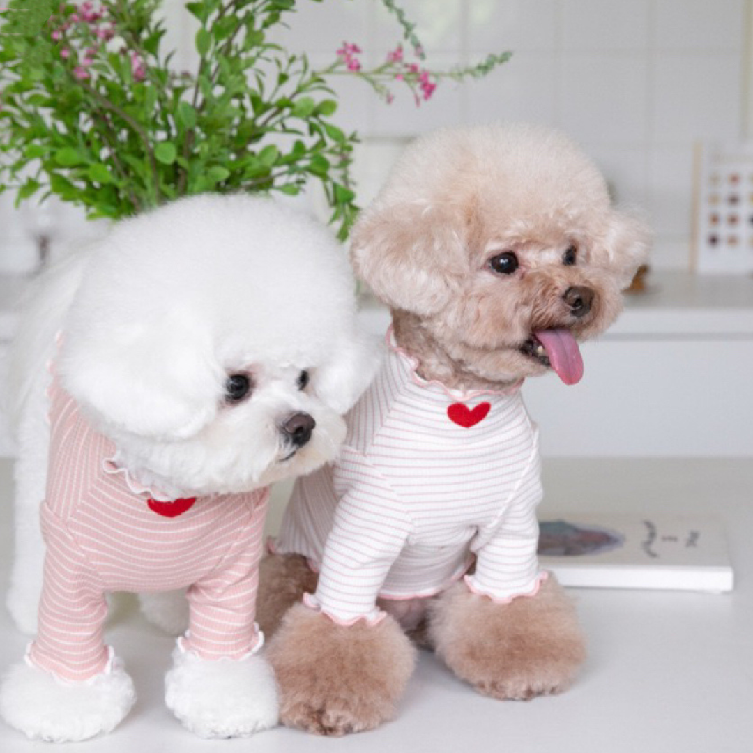 Lilliput Love Stripe Bottom Clothing