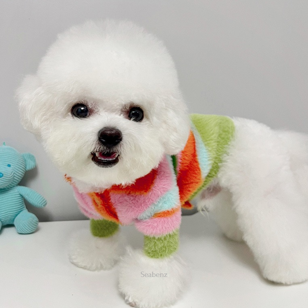 Kikila Colorful Sweater
